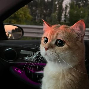 黑客偷拍美女裸体洗澡视频网站大全
